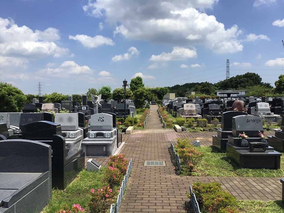 南大沢バードヒルズ(ハヤブサバレー)