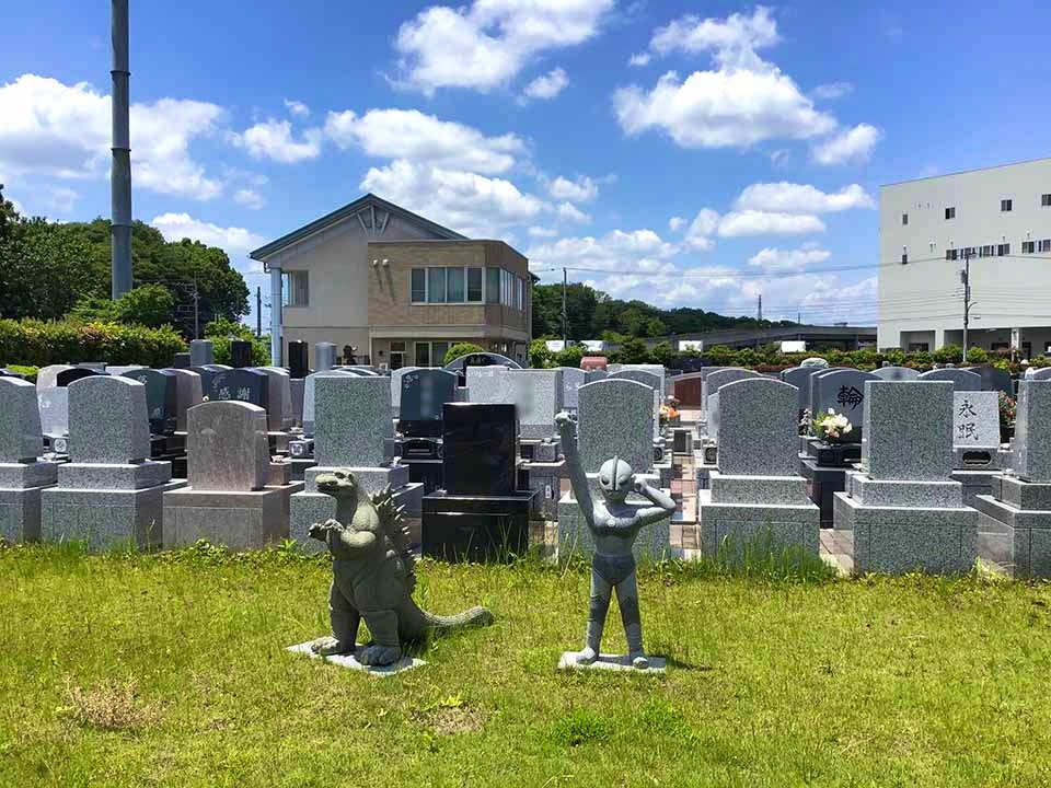 南大沢バードヒルズ(ハヤブサバレー)