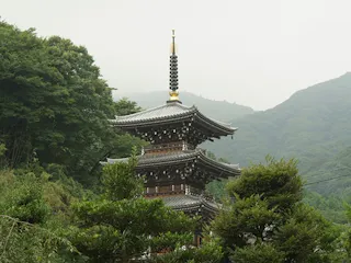 日向霊園