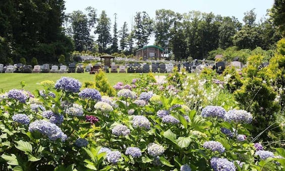 メモリアルパーククラウド御殿山