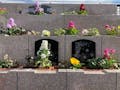 メモリアルパーククラウド御殿山 花壇墓所 50年永代管理「セレーノⅠ・セレーノⅡ」