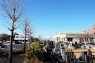 湘南公園墓地茅ヶ崎霊園 園内から望む富士山