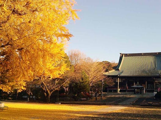 時宗総本山 遊行寺墓苑