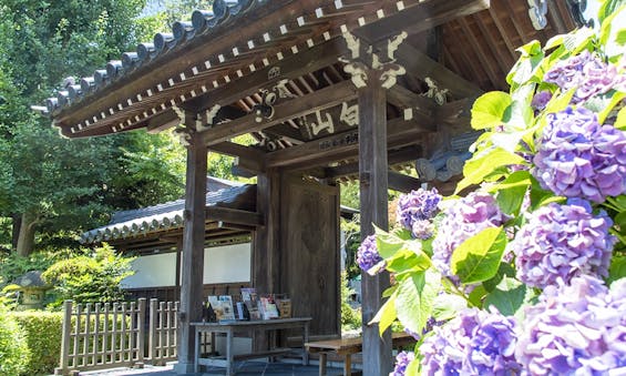 東光禅寺墓苑 永代供養墓