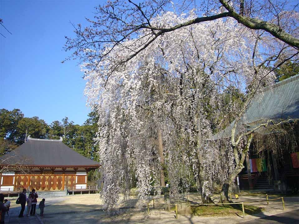 栄福寺