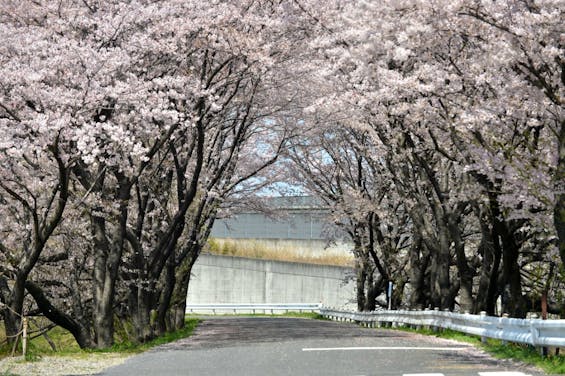 東山霊園