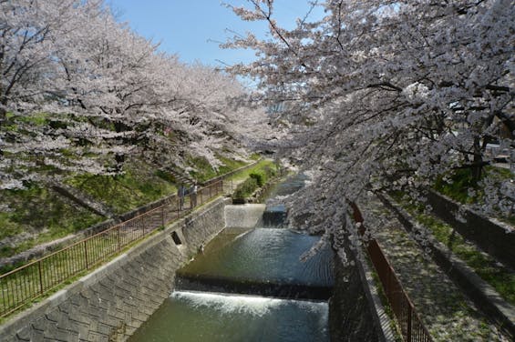 東山霊園