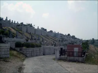 八事林泉寺墓地