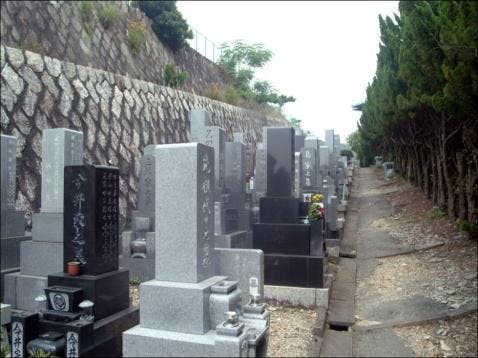 八事林泉寺墓地