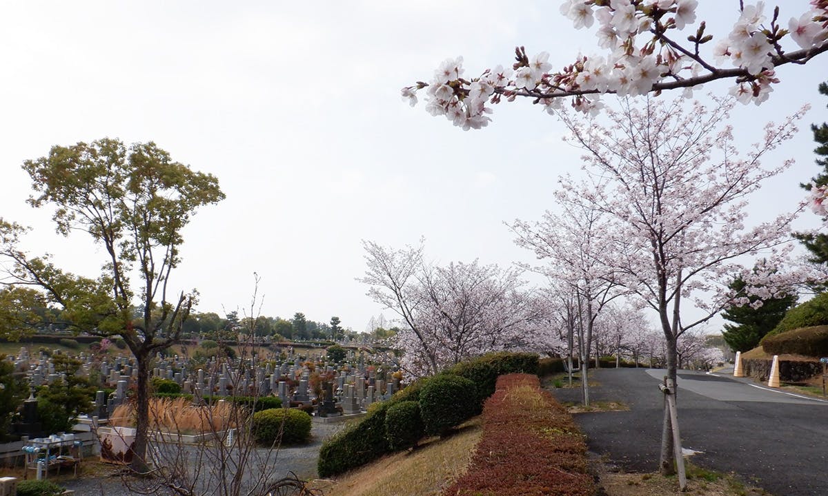 大阪市設 服部霊園