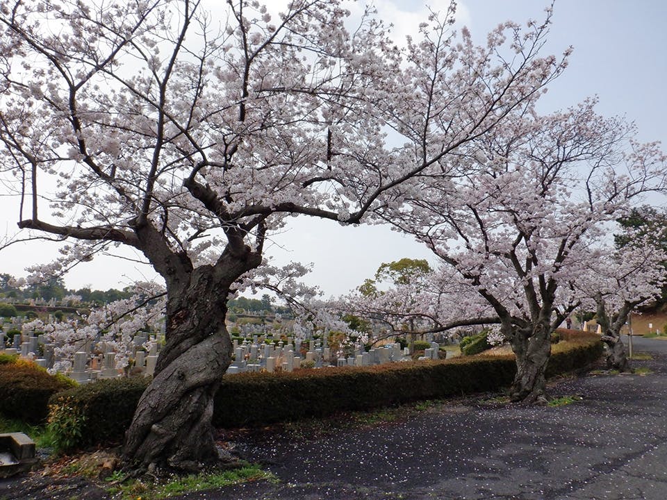 大阪市設 服部霊園