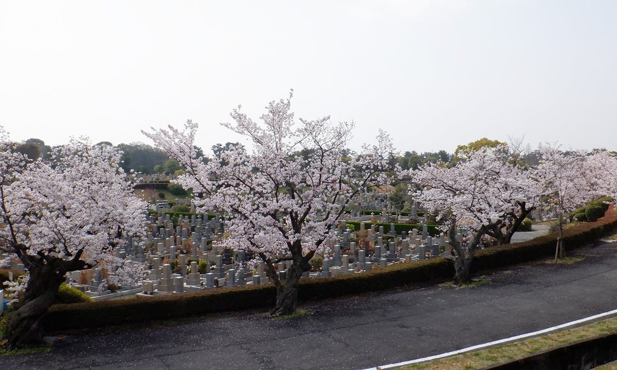 大阪市設 服部霊園