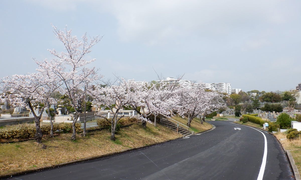 大阪市設 服部霊園