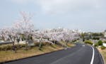 大阪市設 服部霊園