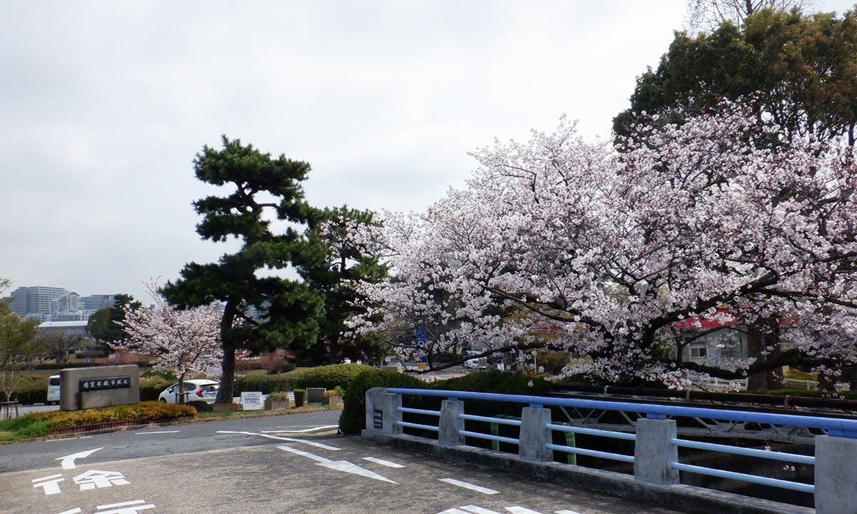 大阪市設 服部霊園