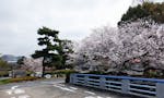 大阪市設 服部霊園
