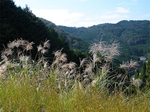 大阪北摂霊園