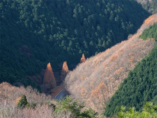 大阪北摂霊園