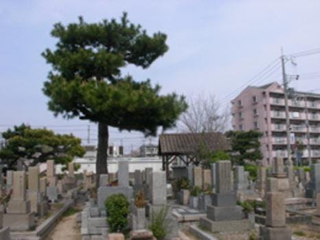 西宮市立 中津墓地