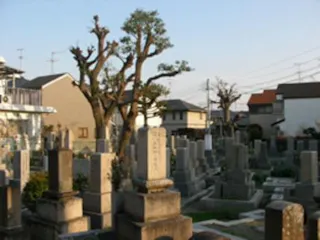 春日丘墓地