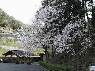 三島市営 三島墓園
