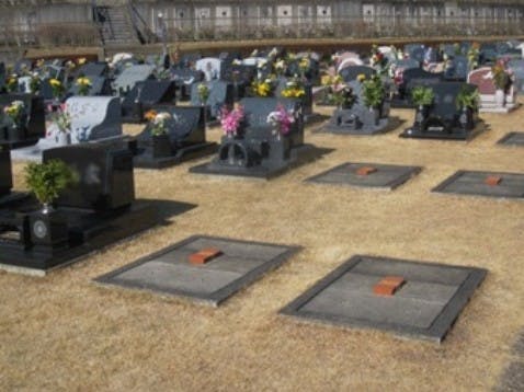 APAC 沼 墓地 墓場 APAC)Swamp(日本 墓地)(97年)/沼 | 神話レア・レア