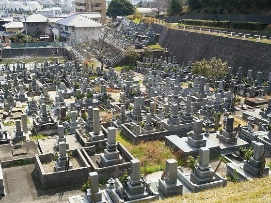 松山市営 客谷墓地の画像