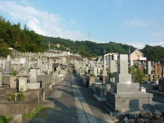 松山市営 天徳寺境外墓地の画像