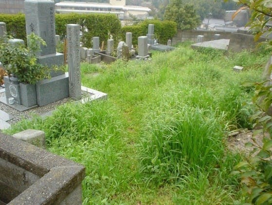 松山市営 鷺谷墓地