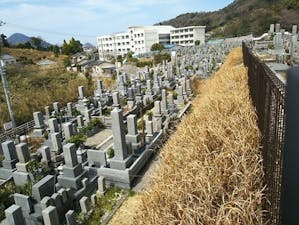 松山市営 大入谷墓地の画像