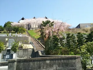 四国中央市営 五社山墓地