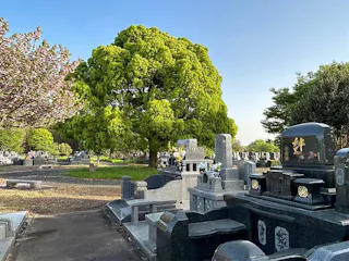 熊本市営 桃尾墓園