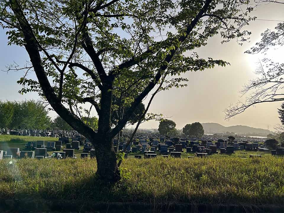 熊本市営 桃尾墓園