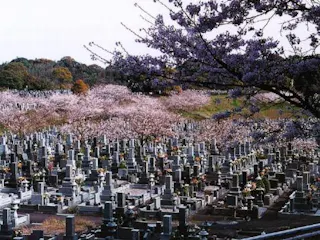 宮崎市営 宮崎みたま園
