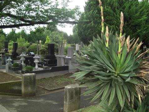 前橋市営 亀泉霊園