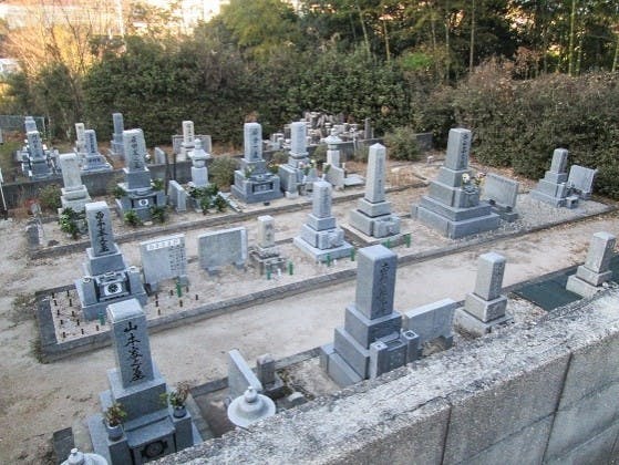 阿品墓地