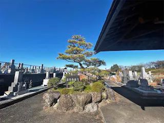 大垣市営 墨俣第1南霊苑