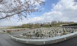 神戸市立 鵯越墓園 園内に季節折々の植樹