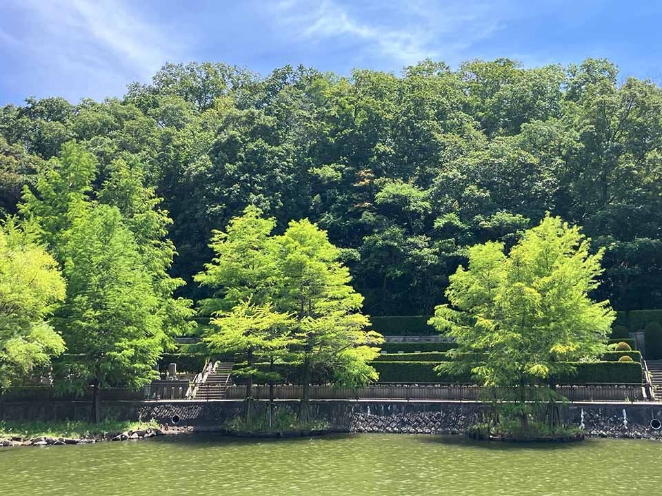 神戸市立 鵯越墓園