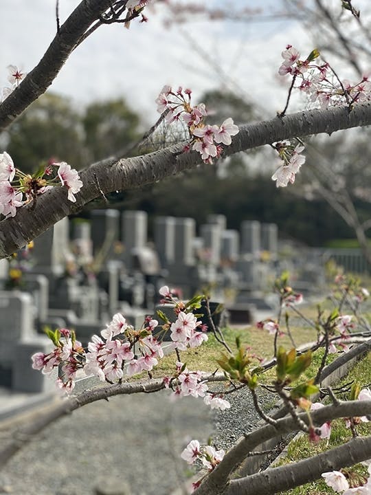 神戸市立 鵯越墓園