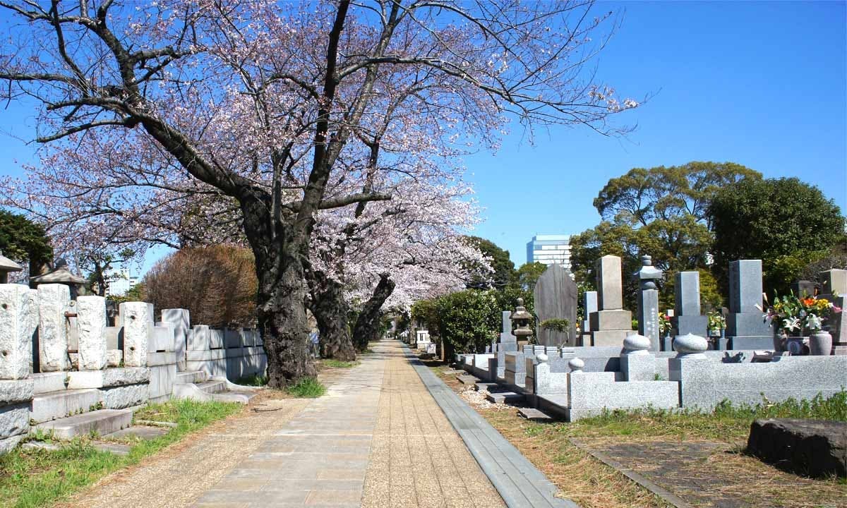 都立 青山霊園