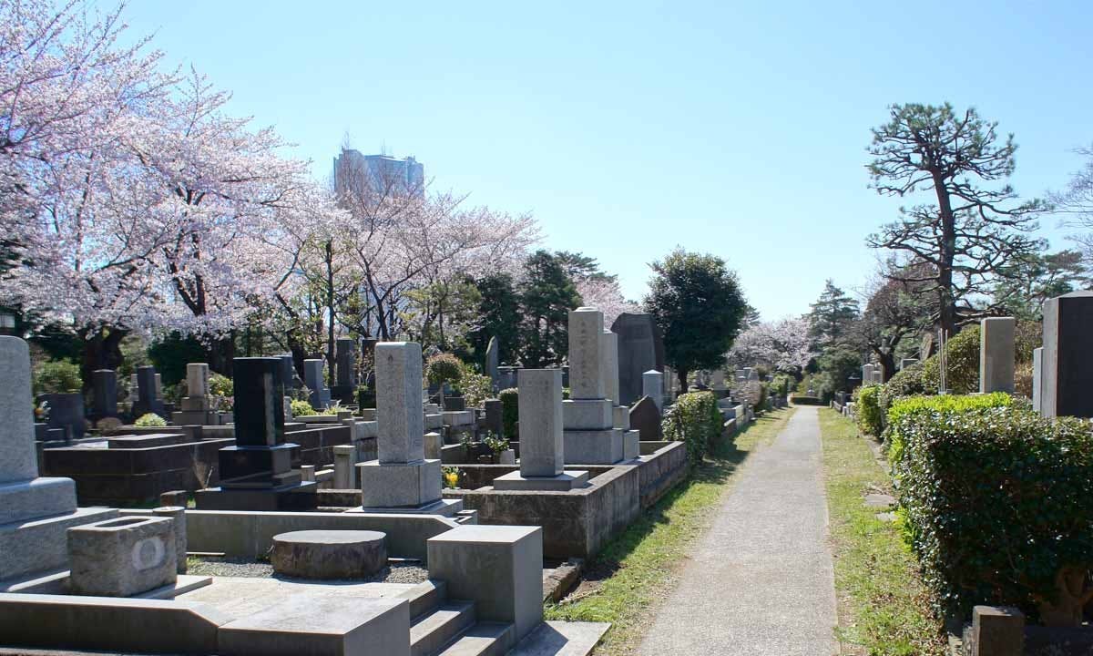 都立 青山霊園