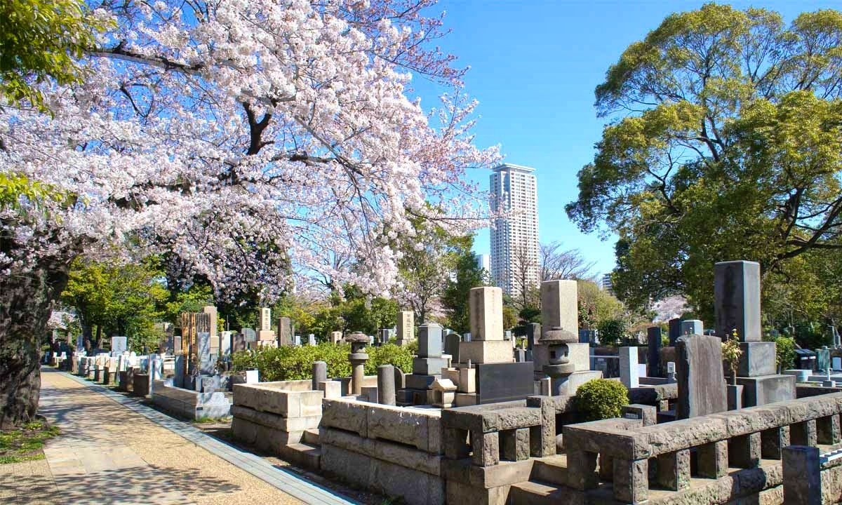 都立 青山霊園