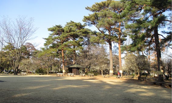 都立 小平霊園