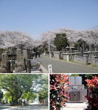都立 染井霊園