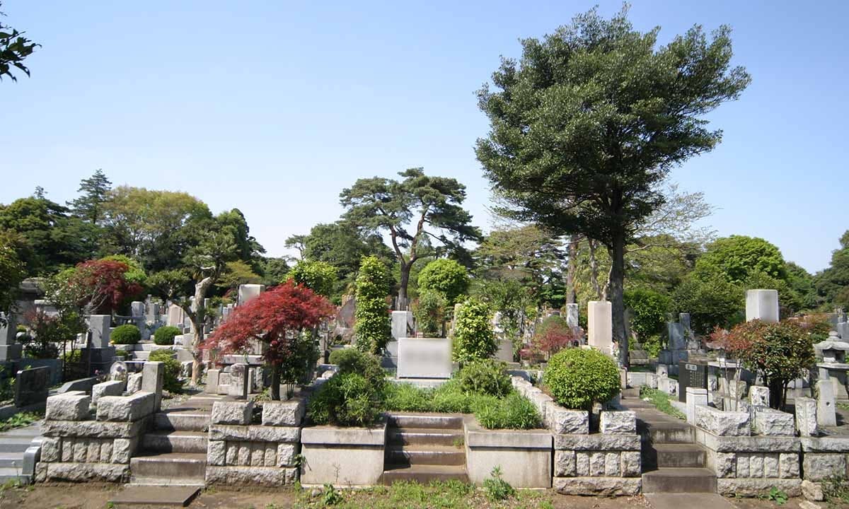 都立 多磨霊園