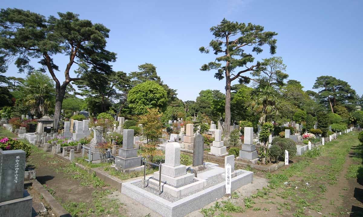 都立 多磨霊園