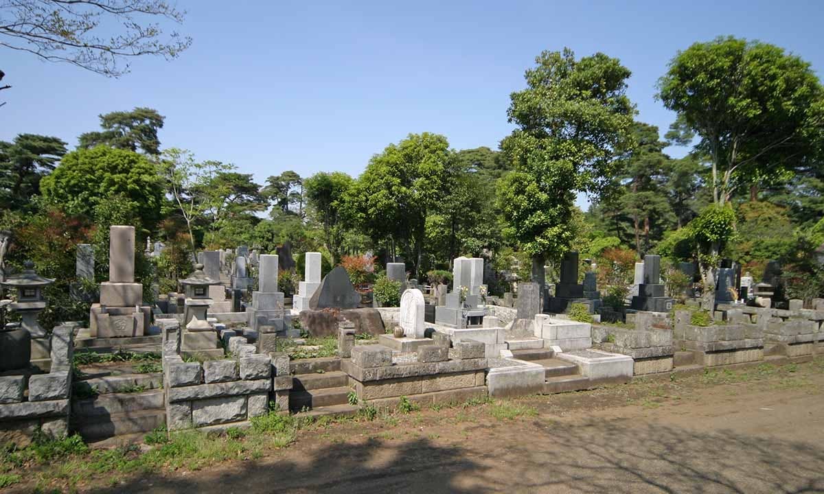 都立 多磨霊園