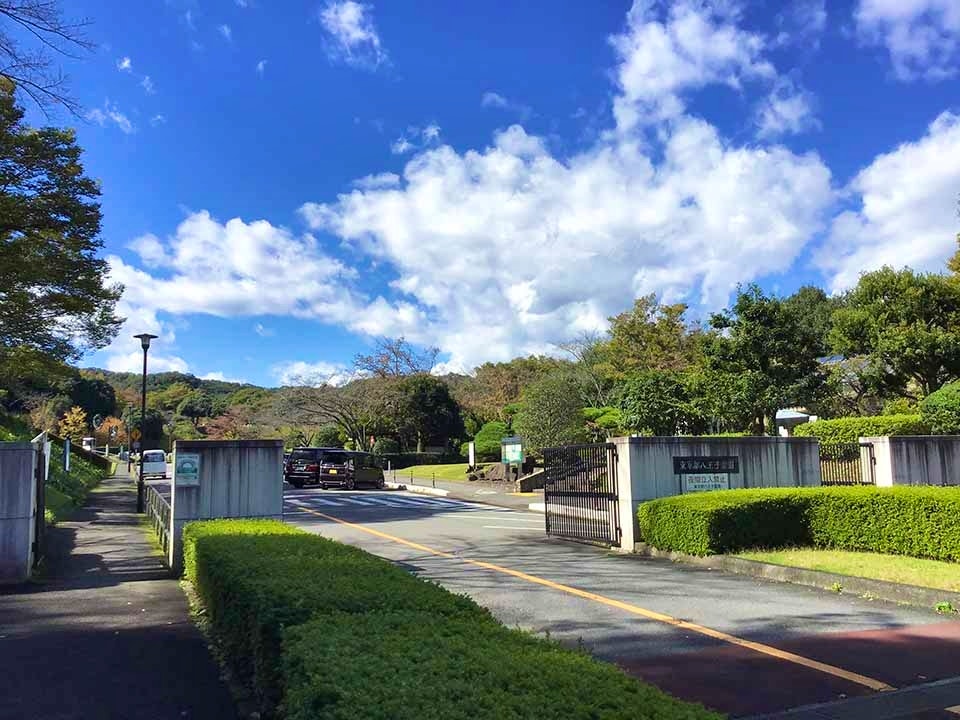 都立 八王子霊園