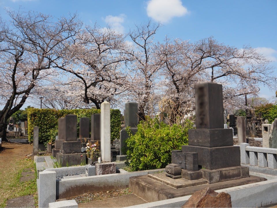 都立 谷中霊園